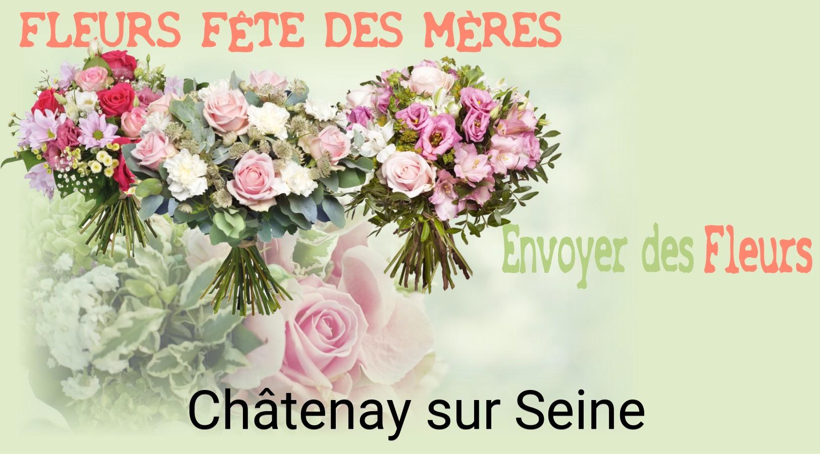 Bouquet de Fête des Mères livré à Châtenay-sur-Seine